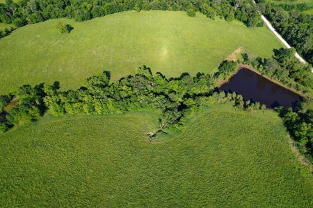 57 Acres, Hay Ground, Pasture, Pond, Gentry County Mo - image 12