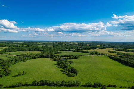 57 Acres, Hay Ground, Pasture, Pond, Gentry County Mo - image 8