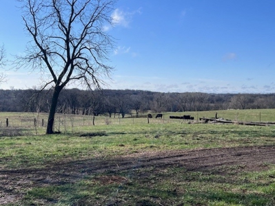 Century Family Farm For Sale Nw Mo - image 7