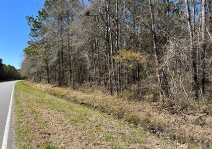 Rural Recreational Investment Property - image 1