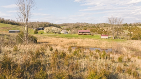 3 Bedroom Country Home on 6 Acres in Bulls Gap, Tennessee - image 10