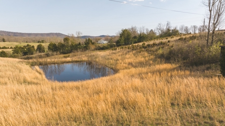 3 Bedroom Country Home on 6 Acres in Bulls Gap, Tennessee - image 9