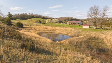 3 Bedroom Country Home on 6 Acres in Bulls Gap, Tennessee - image 12