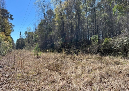 Rural Residential Property - image 1