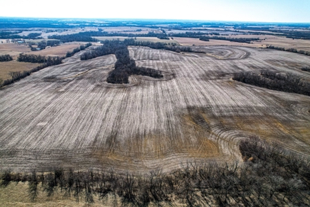 Grace Farms Tract 13 - 161 Acres, Row Crop - image 12