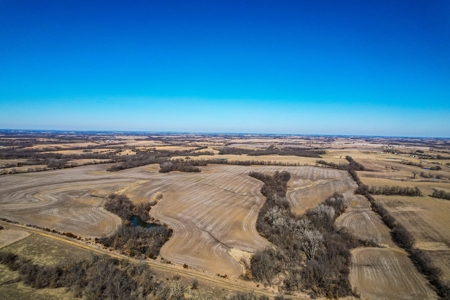 Grace Farms Tract 13 - 161 Acres, Row Crop - image 4