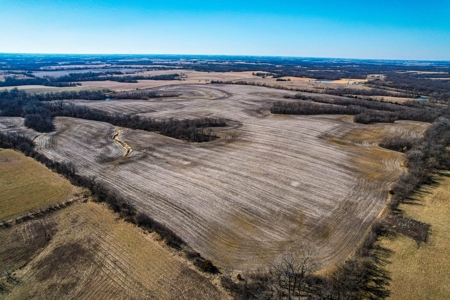 Grace Farms Tract 13 - 161 Acres, Row Crop - image 11