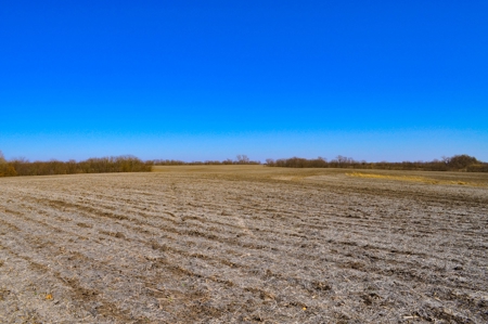 Grace Farms Tract 13 - 161 Acres, Row Crop - image 19