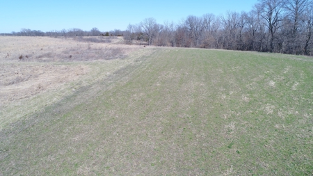 115 acres Knox County, MO with Home - image 17
