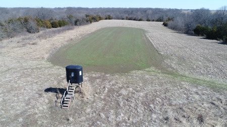 115 acres Knox County, MO with Home - image 10