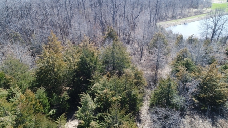 115 acres Knox County, MO with Home - image 7