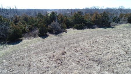 115 acres Knox County, MO with Home - image 8