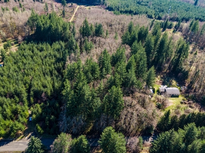 Land For Sale in Onalaska, WA! - image 7