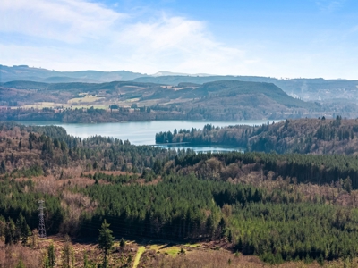 Land For Sale in Onalaska, WA! - image 16