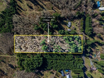 Land For Sale in Onalaska, WA! - image 10