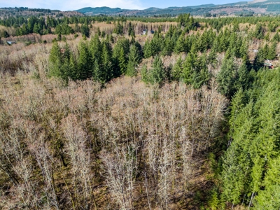 Land For Sale in Onalaska, WA! - image 18