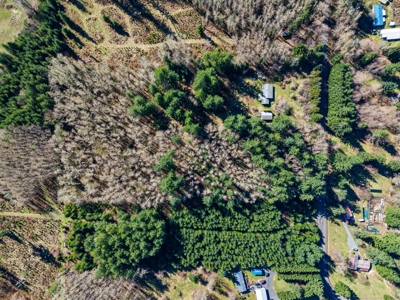 Land For Sale in Onalaska, WA! - image 11