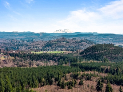 Land For Sale in Onalaska, WA! - image 5