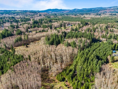 Land For Sale in Onalaska, WA! - image 4
