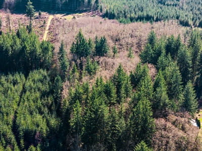 Land For Sale in Onalaska, WA! - image 17