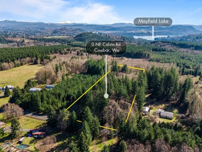 Land For Sale in Onalaska, WA! - image 12
