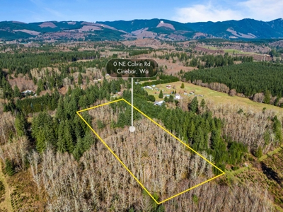 Land For Sale in Onalaska, WA! - image 1