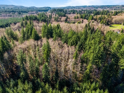 Land For Sale in Onalaska, WA! - image 9