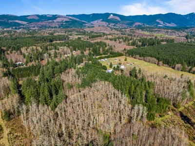 Land For Sale in Onalaska, WA! - image 3