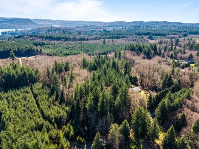 Land For Sale in Onalaska, WA! - image 15