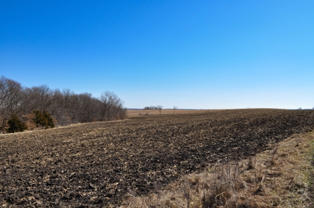 Grace Farms Tract 17 - 80 Acres, Row Crop - image 15