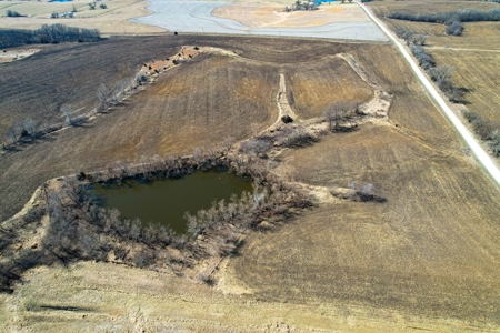 Grace Farms Tract 17 - 80 Acres, Row Crop - image 4