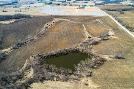Grace Farms Tract 17 - 80 Acres, Row Crop - image 5