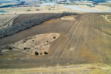 Grace Farms Tract 17 - 80 Acres, Row Crop - image 7