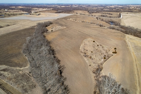 Grace Farms Tract 17 - 80 Acres, Row Crop - image 8