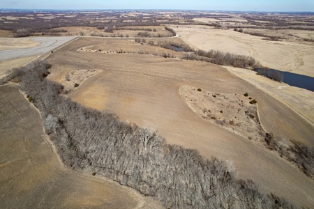 Grace Farms Tract 17 - 80 Acres, Row Crop - image 10