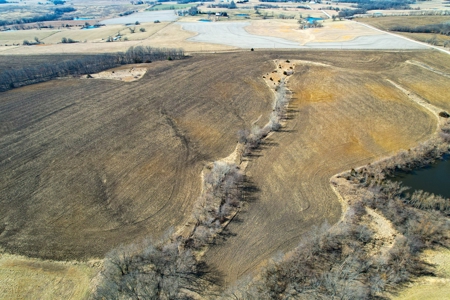 Grace Farms Tract 17 - 80 Acres, Row Crop - image 6