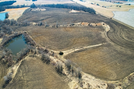 Grace Farms Tract 17 - 80 Acres, Row Crop - image 2