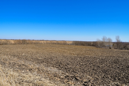 Grace Farms Tract 17 - 80 Acres, Row Crop - image 18