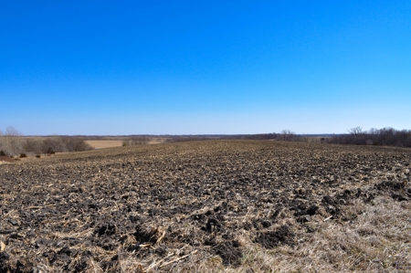 Grace Farms Tract 17 - 80 Acres, Row Crop - image 14
