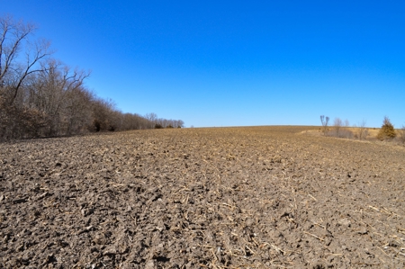 Grace Farms Tract 17 - 80 Acres, Row Crop - image 16
