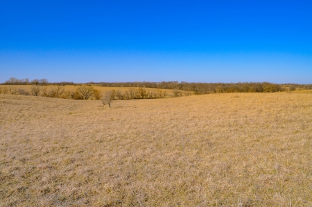Grace Farms Tract 18 - 80 Acres, Pasture - image 10
