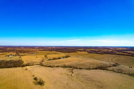 Grace Farms Tract 18 - 80 Acres, Pasture - image 6