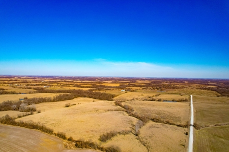 Grace Farms Tract 18 - 80 Acres, Pasture - image 8
