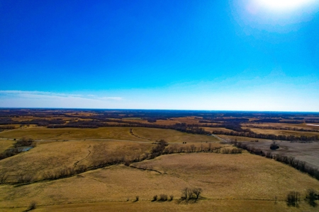 Grace Farms Tract 18 - 80 Acres, Pasture - image 5