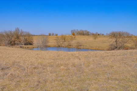 Grace Farms Tract 18 - 80 Acres, Pasture - image 12
