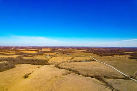Grace Farms Tract 18 - 80 Acres, Pasture - image 7