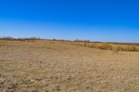 Grace Farms Tract 18 - 80 Acres, Pasture - image 9