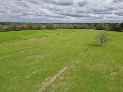6 House Poultry Broiler Farm for Sale South MS - image 4
