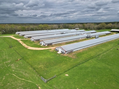 6 House Poultry Broiler Farm for Sale South MS - image 3