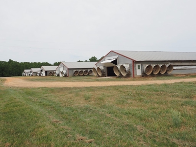 6 House Poultry Broiler Farm for Sale South MS - image 18
